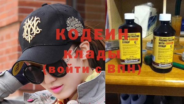 шишки Слюдянка