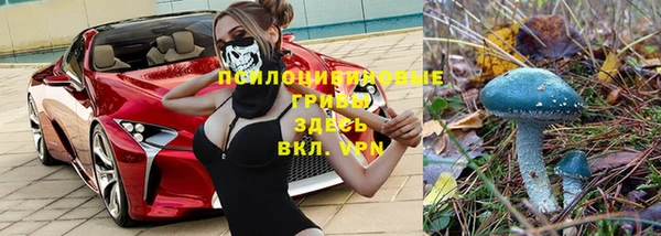 дурь Алексин