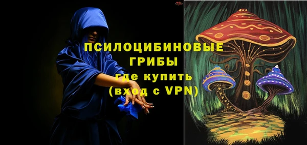 дурь Алексин