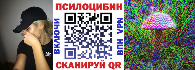 купить наркоту  Котельники  Галлюциногенные грибы Magic Shrooms 